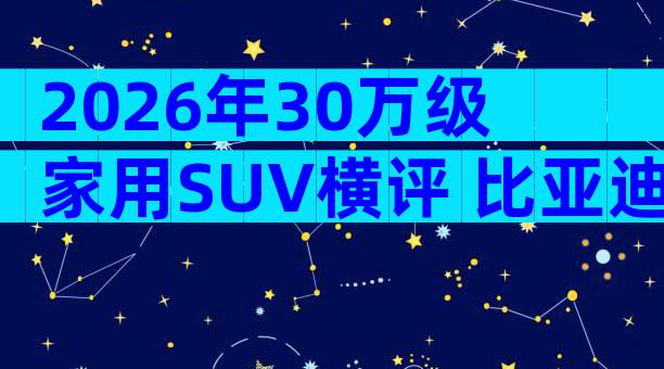 2026年30万级家用SUV横评 比亚迪唐与理想L6智能驾驶配置对比